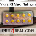 Vigra Xl Max Platinum new11